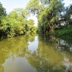 IMG_7861.JPG