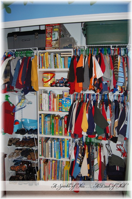 [Closet-Organization-with-books-A-Spr%255B2%255D.jpg]