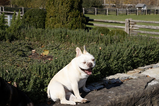 Ha-ha - Franny, that was such a good joke!