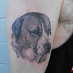 Dog #2