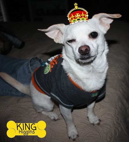 [king%2520higgins%2520copy%255B3%255D.jpg]