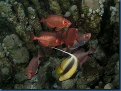 IMG_0205 IMG_0205