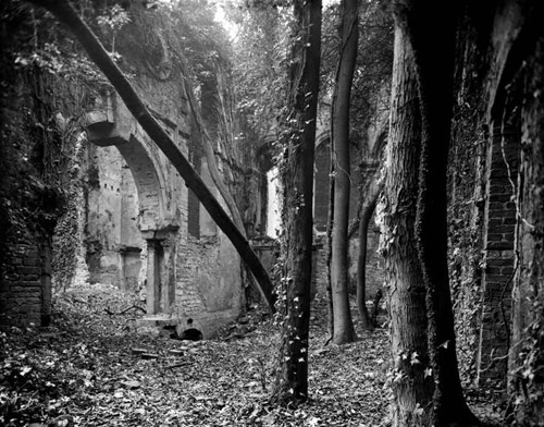 Nettleham-Hall-29---Film