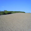 s4031289.jpg s4031289.jpg