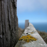 Point Reyes National Seashore