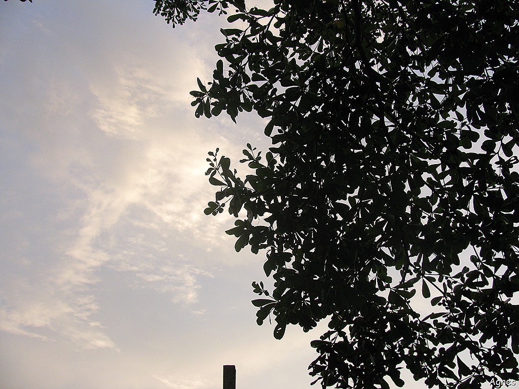 [IMG_785710.jpg]