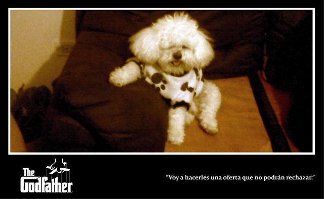 [El%2520Padrino%255B6%255D.jpg]