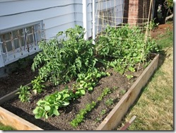 vegetable-garden_5_1 vegetable-garden_5_1
