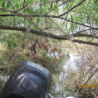 IMG_3436.JPG