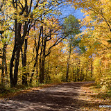 Fall Color Tour / Close to Lake Superior / Northern Minnesota