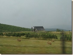 IMG_8908