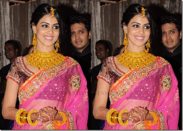 Genelia_Jewellery Genelia_Jewellery