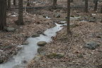 Instead, all moving water has been transformed into solid ice!