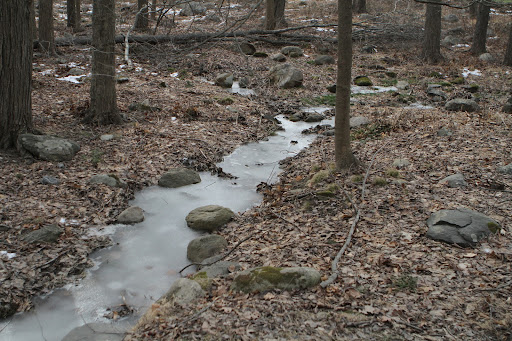 Instead, all moving water has been transformed into solid ice!