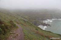 IMG_9370.JPG Photo