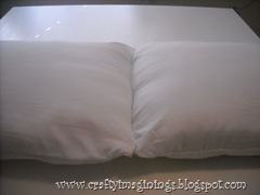 DSCN7273 DSCN7273
