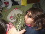 DSCF0292.JPG