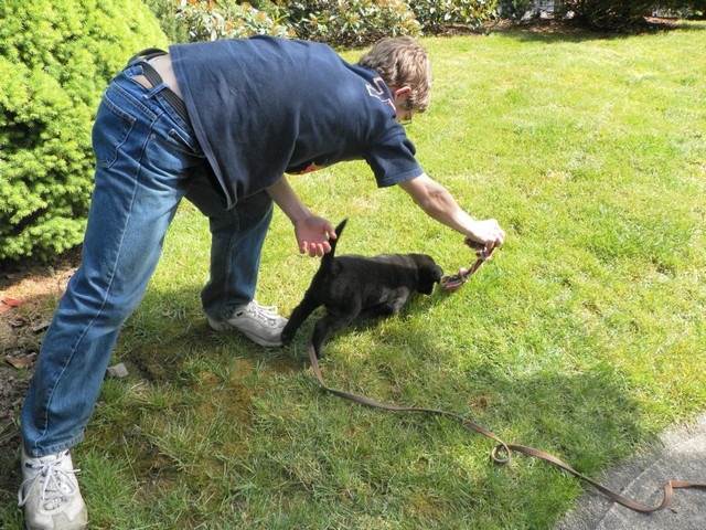 [puppy%252008%255B2%255D.jpg]