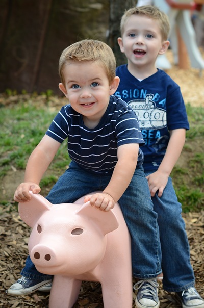 Luke Matthew pig