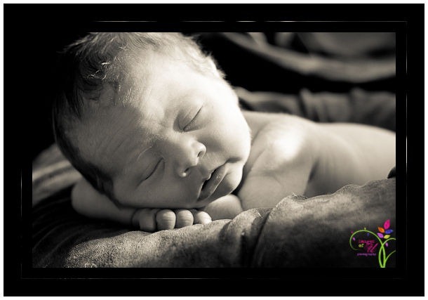 NewbornSiblings-3264