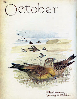 10October7.jpg