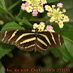 PICT0083-1.jpg