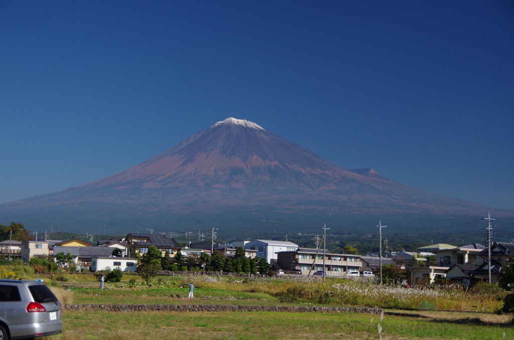 [IMGP34493.jpg]