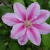 DSCN1598.JPG