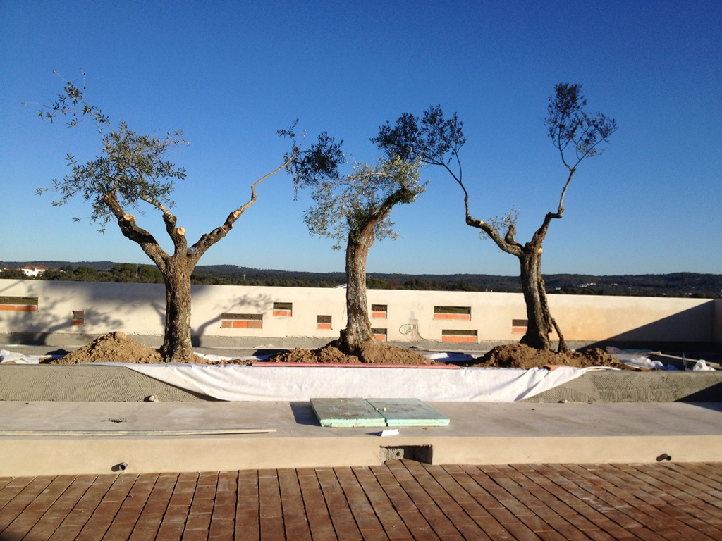 [IMG_0277%255B3%255D.jpg]