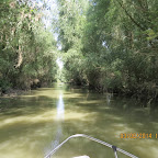 IMG_5779.JPG