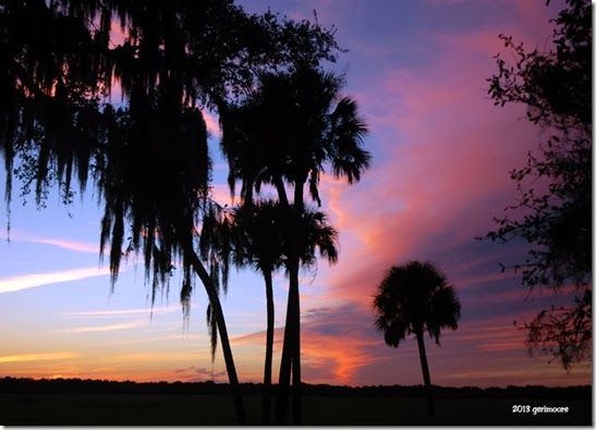 Myakka Sunset  008