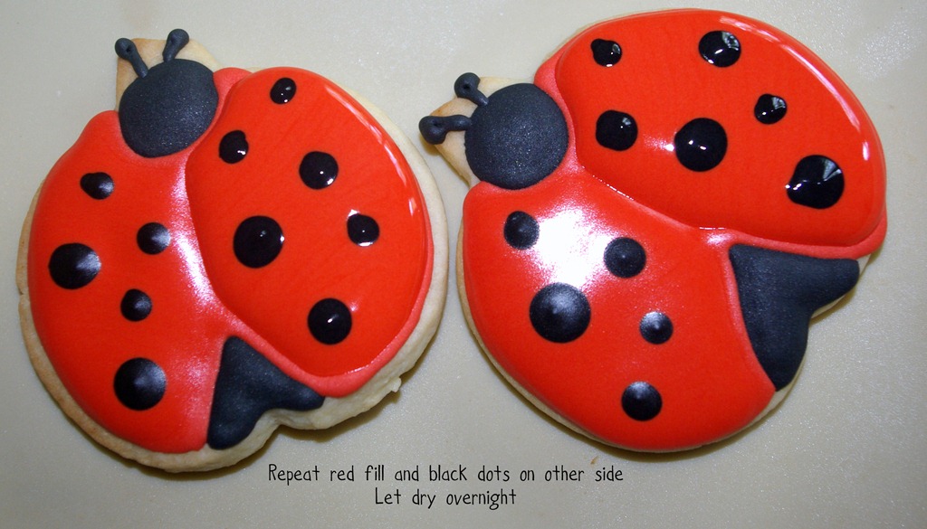 [bug065.jpg]
