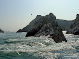 swirling seawataer is rich in food from the Humboldt current