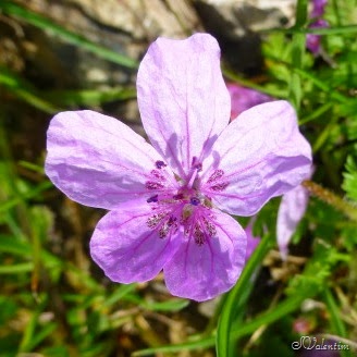 [P1080024%255B7%255D.jpg]