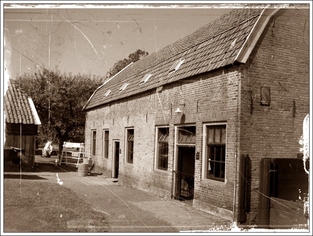 [101_76213.jpg]