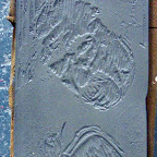 CIMG4600.JPG