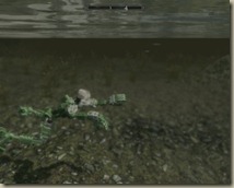 ScreenShot461 ScreenShot461