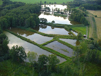 Hluboka_u_Borovan_012.JPG