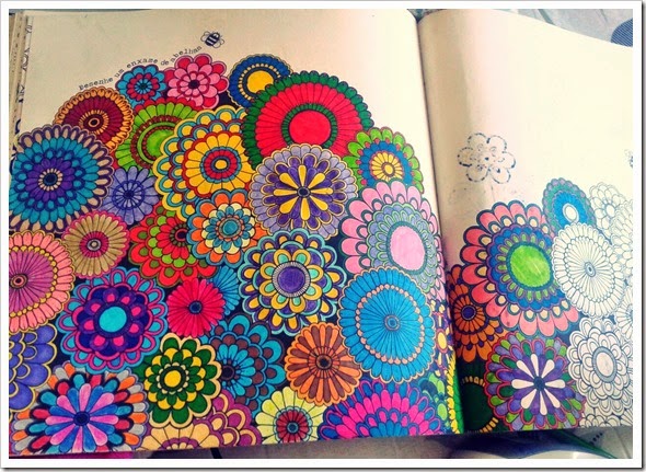 ideias para pintar livro jardim secretoperfeito pra mim que não para ideias para pintar livro jardim secretoperfeito pra mim que não para