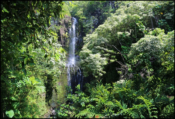 Wailua Falls South Maui 5-22-2013 (7)