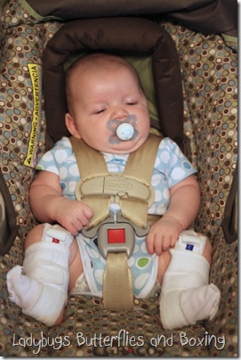 Colton Harness 6