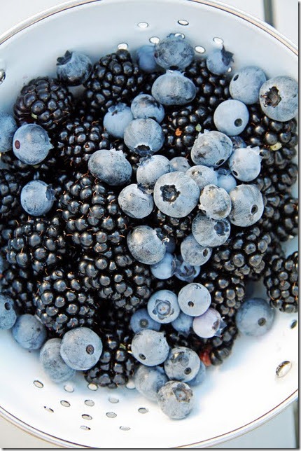 First Blackberry Harvest at A Country Farmhouse