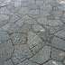 R0028063.JPG