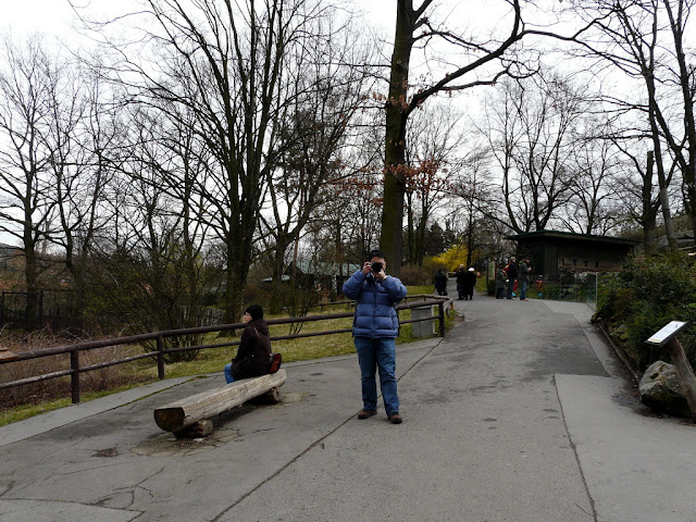Taken at Latitude/Longitude:50.118109/14.407257. 0.69 km South-East Podho?? Czech Republic <a href="http://www.geonames.org/maps/google_50.118109_14.407257.html"> (Map link)</a>