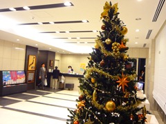 DSC00869 DSC00869