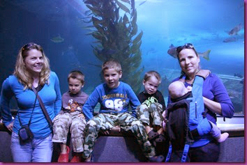 IMG_5048 IMG_5048