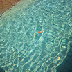 piscine bois modern pool 57.jpg