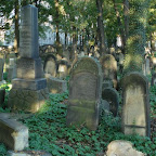 DSC00854-0856.JPG
