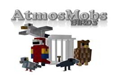 bird
