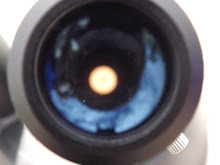 DSCF2210